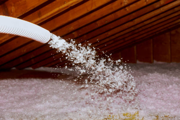 Best Insulation Removal  in Lamar, MO
