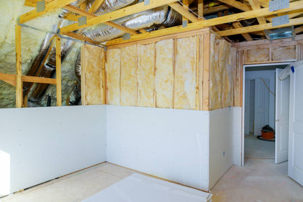 Best Spray Foam Insulation  in Lamar, MO