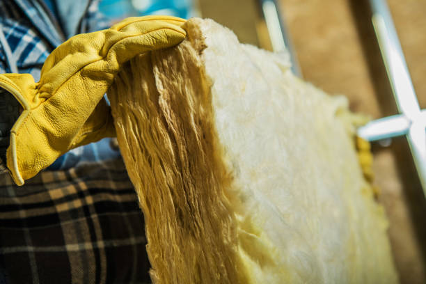 Best Professional Insulation Contractor  in Lamar, MO