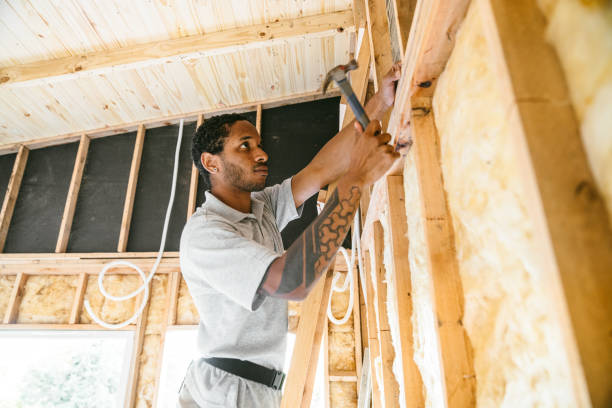 Best Attic Insulation Installation  in Lamar, MO