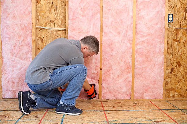 Best Home Insulation Services  in Lamar, MO