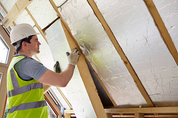 Best Professional Insulation Contractor  in Lamar, MO